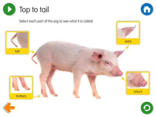 Three Little Pigs android App screenshot 1